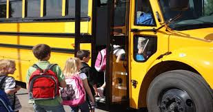 Good Habits And Safety Rules Lesson For Class 1