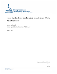 How The Federal Sentencing Guidelines Work An Overview