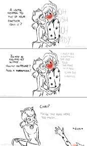 Whaticalldoodling Miraculous Ladybug Anime Miraculous Ladybug Funny Miraculous Ladybug Memes