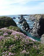 Aujourd'hui à belle île en mer, il fera beau. Camping Belle Ile En Mer 4 Star Campsite Morbihan Southern Brittany Camping Bordeneo