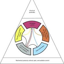 Bruce chapman insect science ltd pest organisms when do organisms become pests? Pdf A Conceptual Framework For Integrated Pest Management