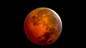 This really is the cheapest real. How To View The Total Lunar Eclipse In 2021 Martha Stewart