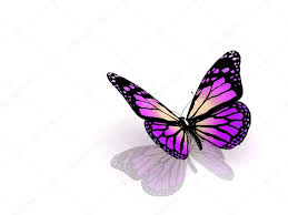 Fotos De Mariposas Pintadas Imagenes De Mariposas Pintadas Descargar Depositphotos