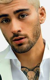 Zayn Pinterest Rosh Guys With Nose Piercings Guys Ear Piercings Mens Piercings