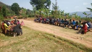 Image result for Leptoderris harmsiana