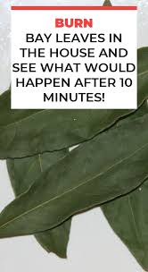 Burn Bay Leaves In The House And See What Would Happen After 10 Minutes Natural Health Remedies Natural Healing Remedies Natural Remedies