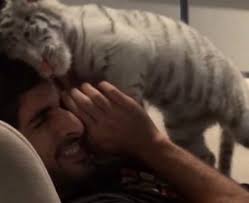 Dubai's wind powered skyscraper