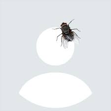 Whatsapp zeigt das profilfoto in voller größe an. Meine Bilder Fur Geloschter Nutzer Telekom Hilft Community