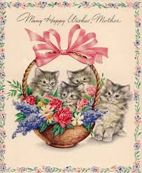 Black cat in a birthday confetti and balloons on yellow background. Cats Flowers Birthday Card Greeting Cards Invitations Home Garden