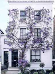 18 Photos Guaranteed To Make You Feel Calm Exterior Design House Exterior Beautiful Homes