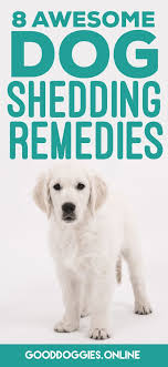The general rule is that a dog should drink an ounce of water per pound of body weight per day. Pin On Dog Grooming Tips