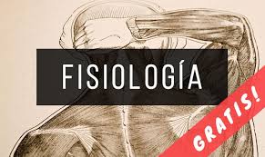 El animal humano libro pdf. 30 Libros De Fisiologia Gratis Pdf Infolibros Org
