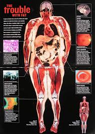 Pin On Obesity Smoking And Alcohol Effects