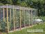 Squirrel Proof Garden Fencing