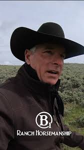 How To Gather Stray Cattle