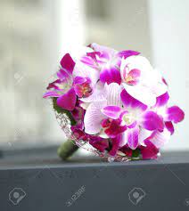 Rosemary & finch floral design | nashville, tn. Orchid Wedding Bouquet Stock Photo Picture And Royalty Free Image Image 20849058