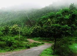 Luxury Hotels In Bhubaneswar Gopalpur And Chilika Swosti Group Hill Station Places To Visit Trip