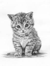 Cat Portrait Pencil Drawing 2020 Hayvan Cizimi Kedi Sanati Gercekci Cizimler