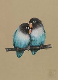 Drawing Ideas Colorful Paper 45 Ideas Bird Drawings Color Pencil Art Love Birds Painting