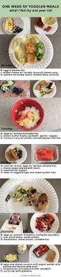 Easy snack box · 2. What I Fed My 1 Year Old Toddler In A Week Aileen Barker Baby Food Recipes Toddler Meals Food