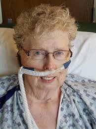 Poodle's reaction to dental anesthesia