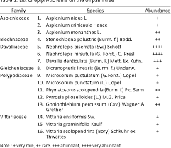 Image result for Vittaria guineensis
