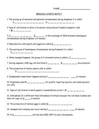 Comparison of mitosis and meiosis. Meiosis Lesson Plans Worksheets Lesson Planet