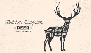 Deer Butcher Diagram Vector Download