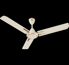 We did not find results for: High Speed Ceiling Fan Standard Electricals