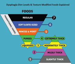 this article enriches your knowledge about dysphagia diet