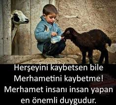 Ahmet Tan Adli Kullanicinin Hayvanlara Merhamet Et Panosundaki Pin Hayvan Hayvanlar Sevimli Hayvan Yavrulari