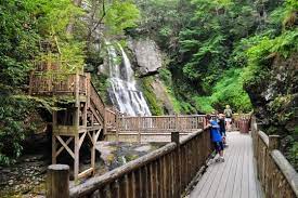 Park hours & general information. Things To Do Near Bushkill Falls With Kids Bushkill Pa Trekaroo