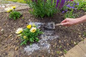 Use the mentioned application times as a guide to safely add wood ashes to your garden. 5 Ways To Use Wood Ash In The Garden How To Store It Diy Crafts