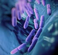 Probiotics: Usefulness and Safety | NCCIH