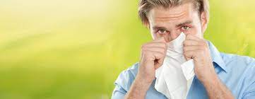 Allergischer Schnupfen Heuschnupfenmittel Dhu