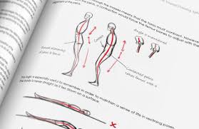 The Youssef Drawing Syllabus Movement Form Concept Art World Movement Drawing Drawings Concept Art World