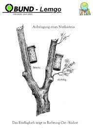 Ansonsten sollten nistkästen spätestens im märz aufgehängt werden. Bund Lemgo Homepage