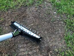 Mini Spiker Von Rasendoktor Unkraut Im Rasen Rasenerde Gartenarbeit