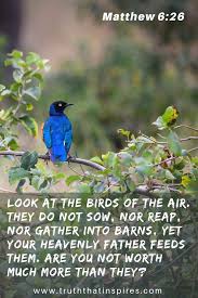 Birds Of The Air Bible Meaning Pin On In His Name