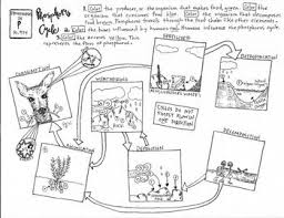 Pin On Biology And Other Sciences