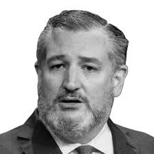 Texas general election results: President, Senate, House and more