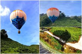 Yz agro farm (kebun strawberry & kafe). Naik Belon Udara Panas Tarikan Terbaru Di Cameron Highlands Boleh Tengok View Ladang Teh Libur