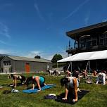 Yoga + Wine at Amos Rome Vineyards