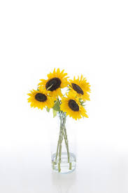 See more of puisi bunga matahari on facebook. Bunga Matahari Di Meja Saya