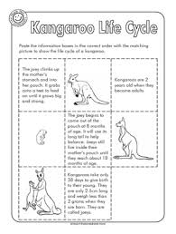 Kangaroo Life Cycle Life Cycles Activities Interactive Student Notebooks Science Life Cycles