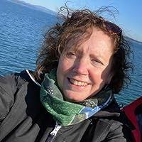 The Romantic by Barbara Gowdy