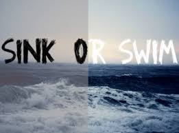 sink or swim for international students