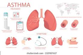 Random number datasets are generated in this example. Detail About Asthma Symptoms Causes Have Stock Vector Royalty Free 1329307637