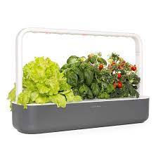 Click And Grow Smart Garden 9 Indoor Home Garden Smart Garden Indoor Gardening Kit Herbs Indoors