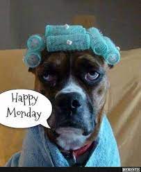 Ich bin immer für dich da. Happy Monday Lustige Bilder Spruche Witze Echt Lustig